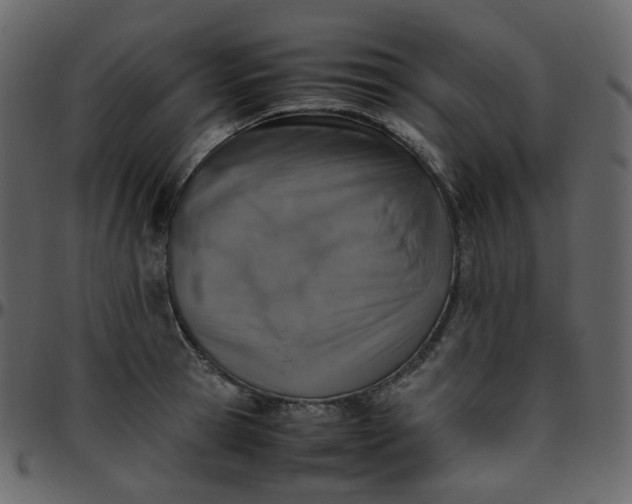 X0000095690945200801221244