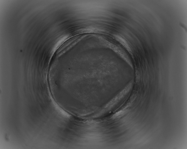 X0000095690946200801221244