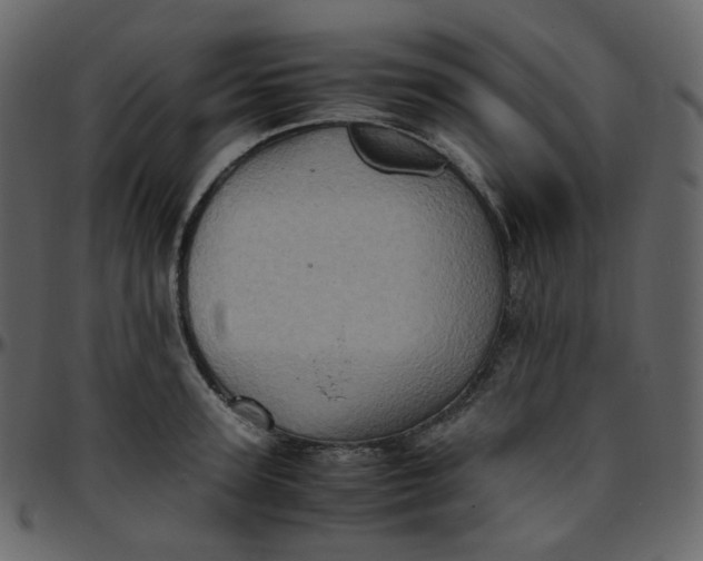 X0000095690947200801221244