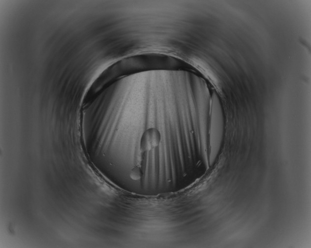 X0000095690948200801221244