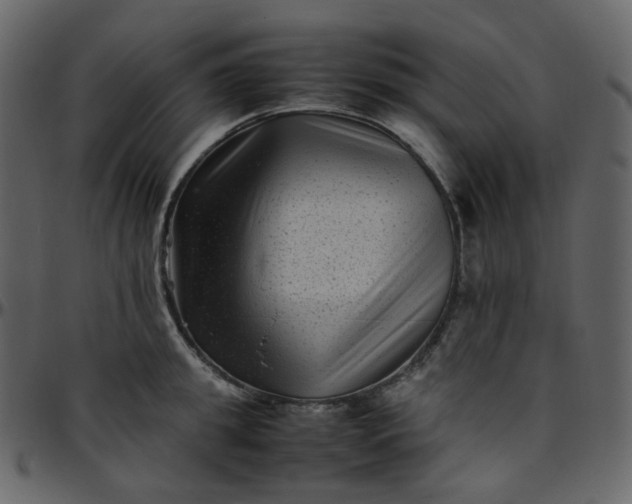 X0000095690949200801221244