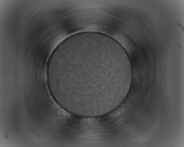 X0000095690950200801221244