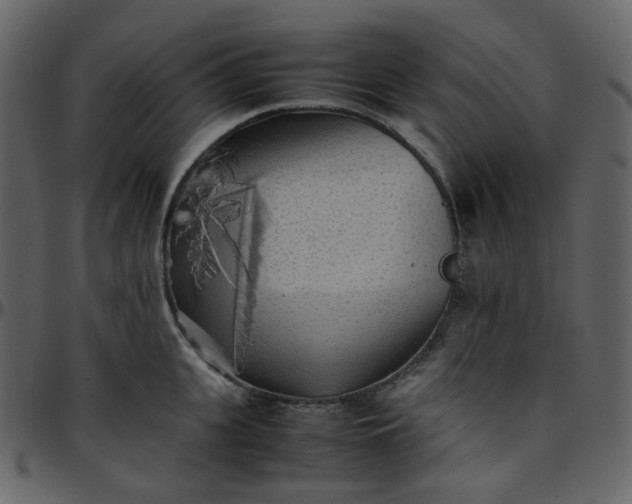 X0000095690951200801221244