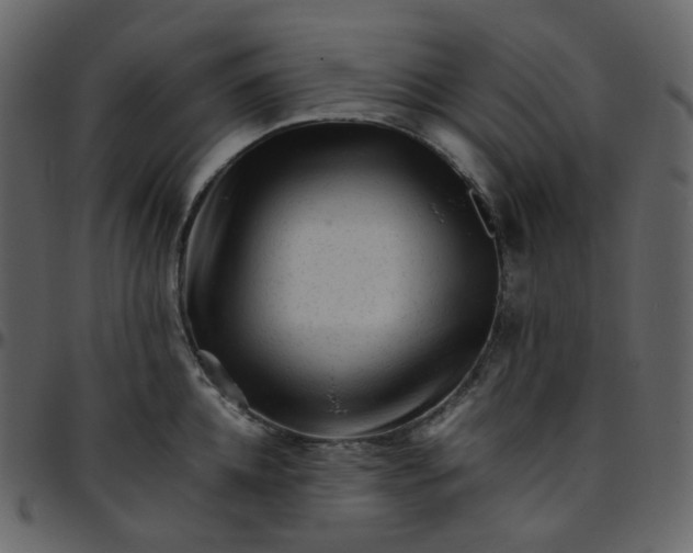 X0000095690952200801221244