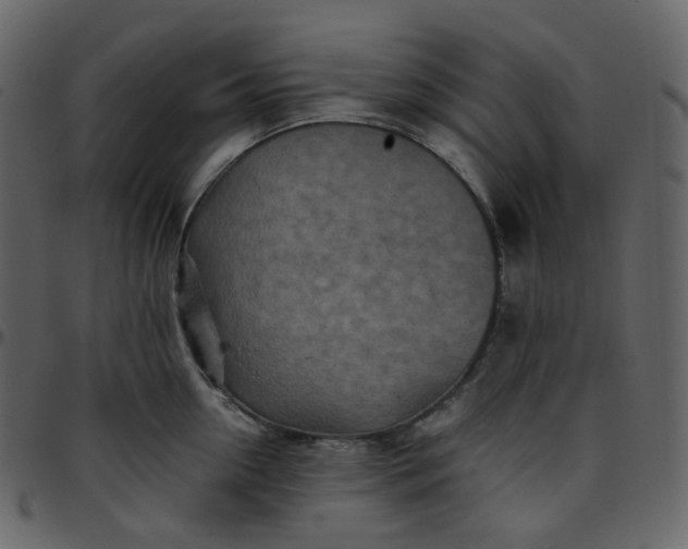 X0000095690954200801221244