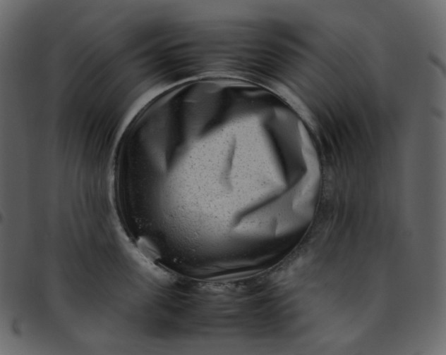 X0000095690955200801221245