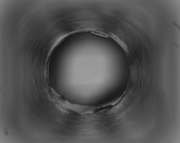 X0000095690956200801221245