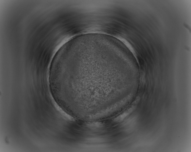 X0000095690957200801221245