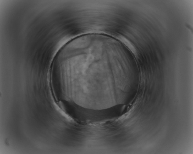 X0000095690958200801221245