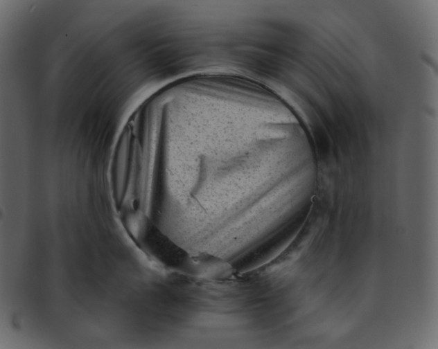 X0000095690959200801221245