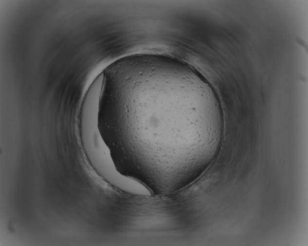 X0000095690960200801221245