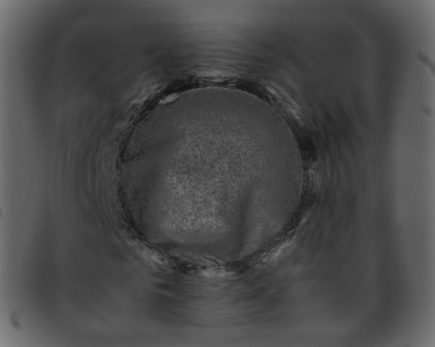 X0000095690961200801221244