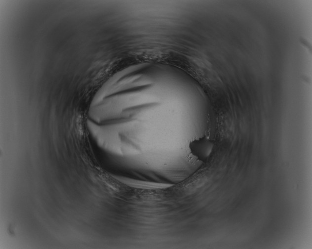 X0000095690962200801221244