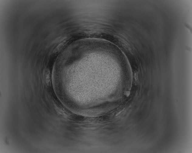 X0000095690963200801221244