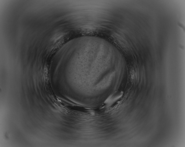 X0000095690964200801221244