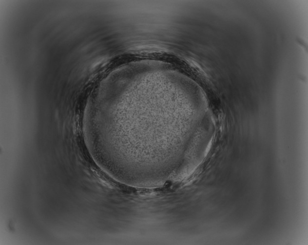 X0000095690965200801221244