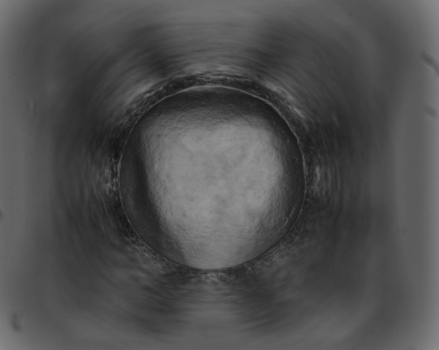 X0000095690966200801221244