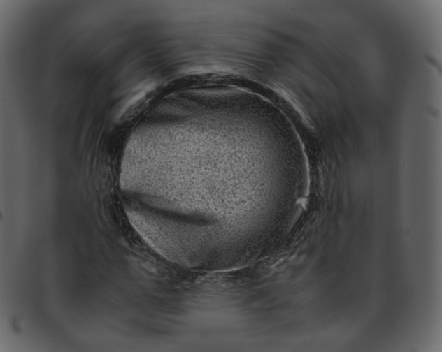 X0000095690967200801221244