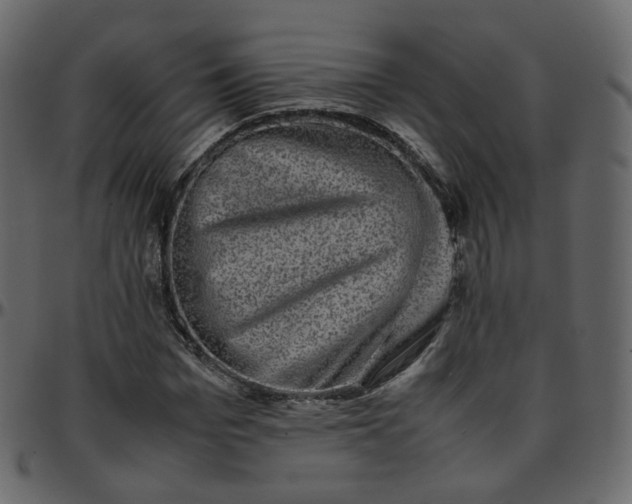 X0000095690969200801221244