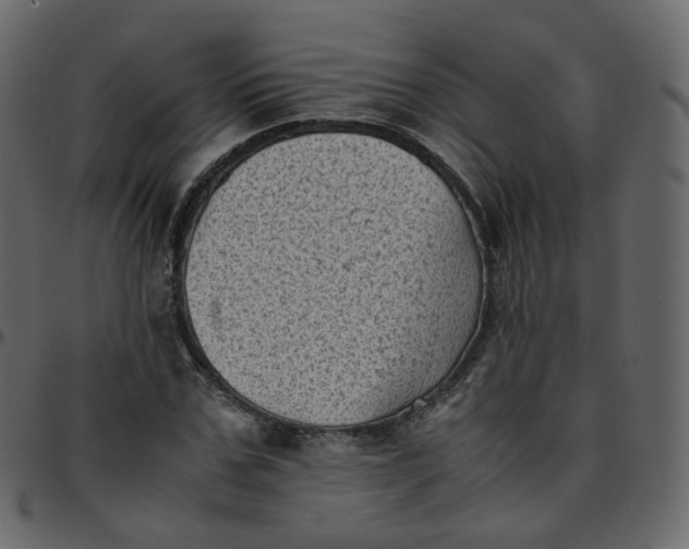 X0000095690971200801221244