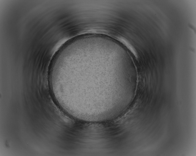 X0000095690972200801221244