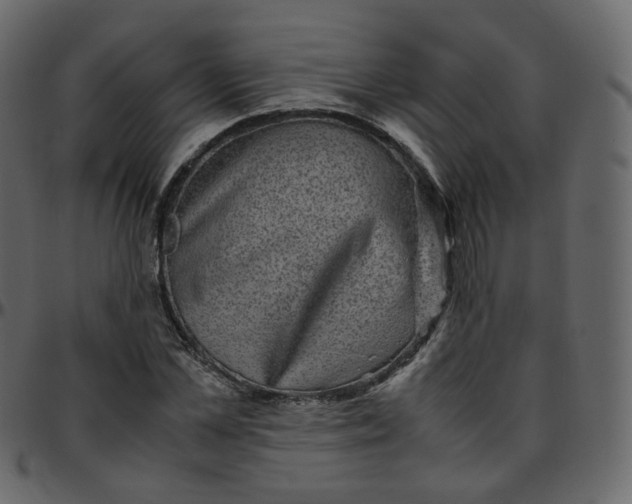 X0000095690973200801221244