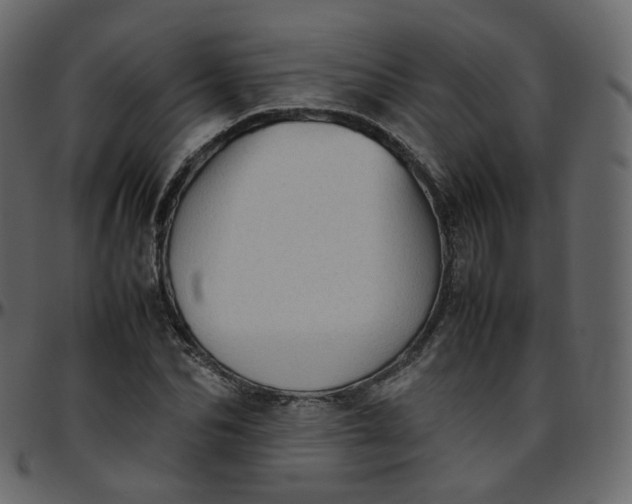 X0000095690974200801221244