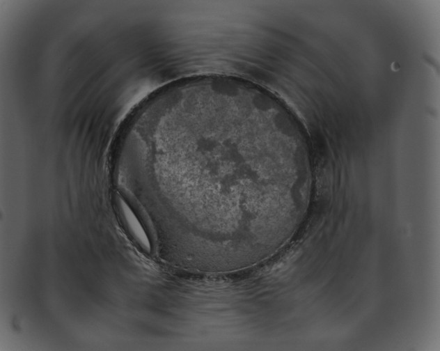 X0000095690975200801221244