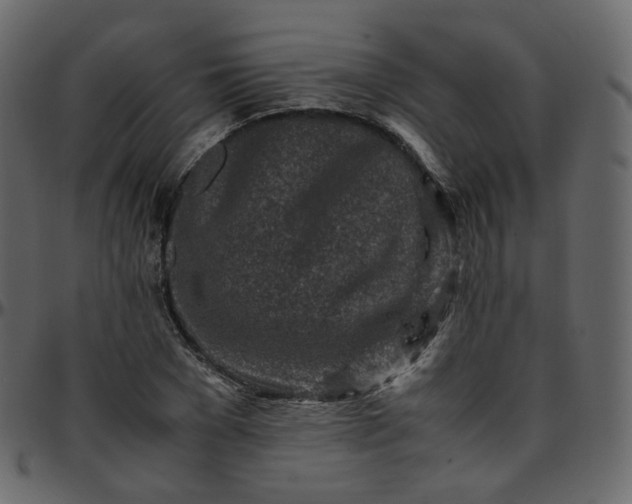 X0000095690977200801221244