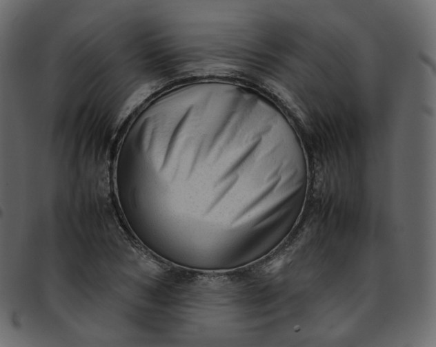 X0000095690978200801221244