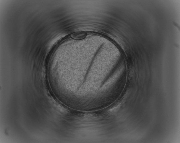 X0000095690979200801221244