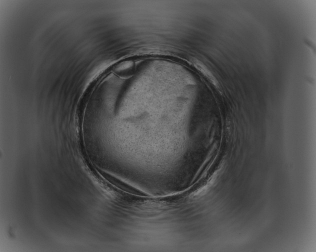 X0000095690981200801221244