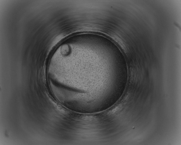 X0000095690982200801221244