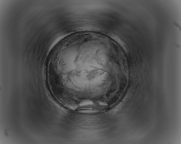 X0000095690983200801221244