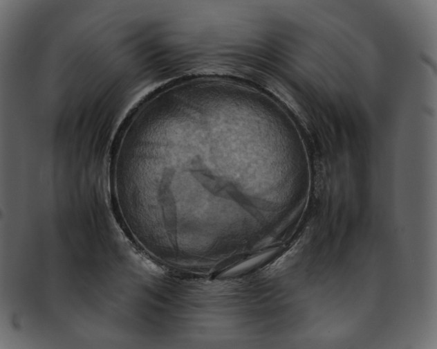 X0000095690984200801221244