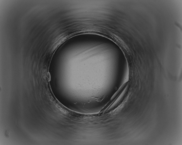 X0000095690985200801221244