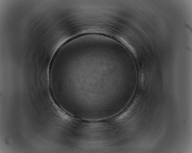 X0000095690988200801221244