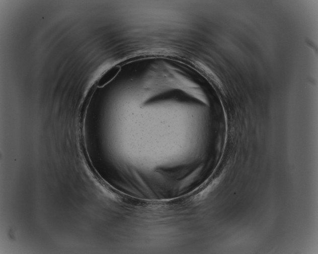 X0000095690989200801221244