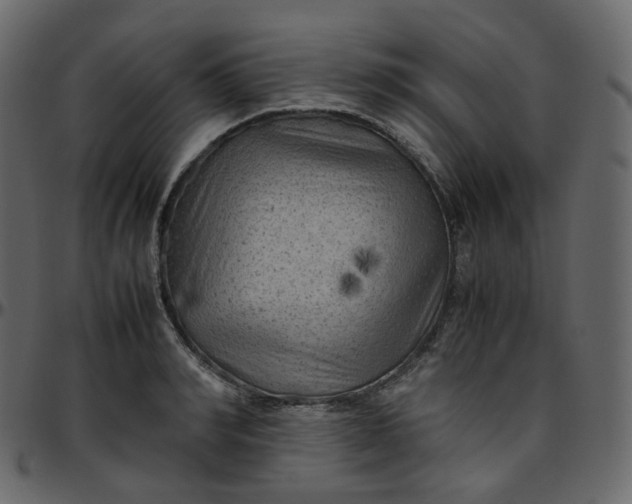 X0000095690990200801221244