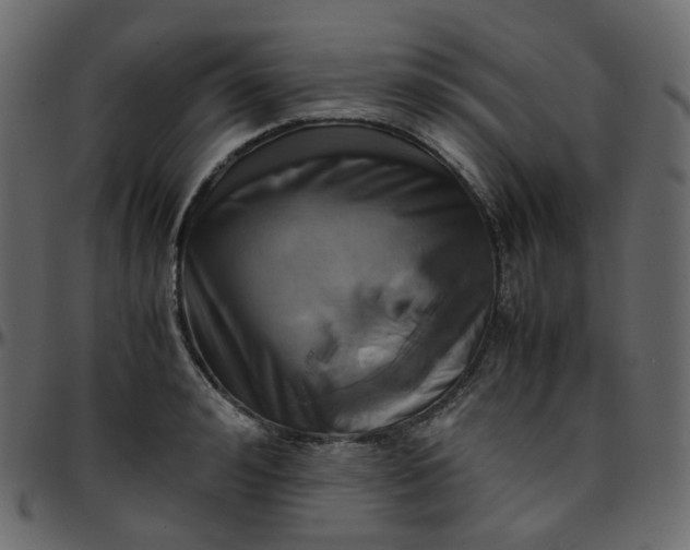 X0000095690992200801221244