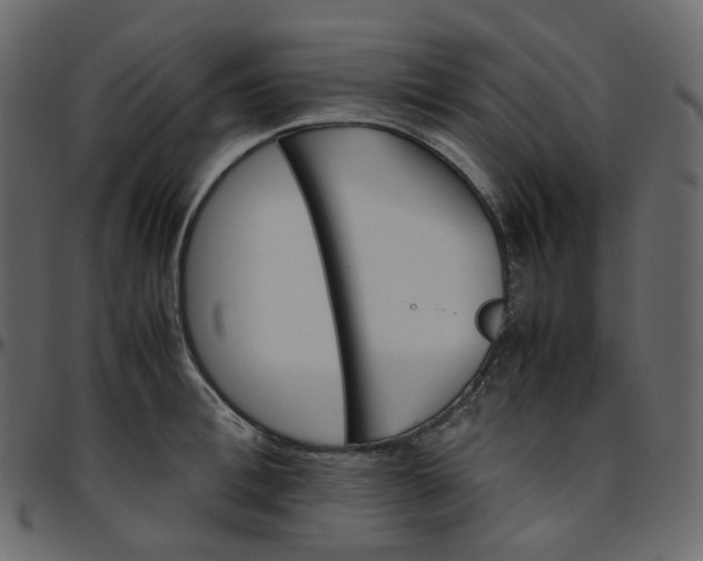 X0000095690996200801221243