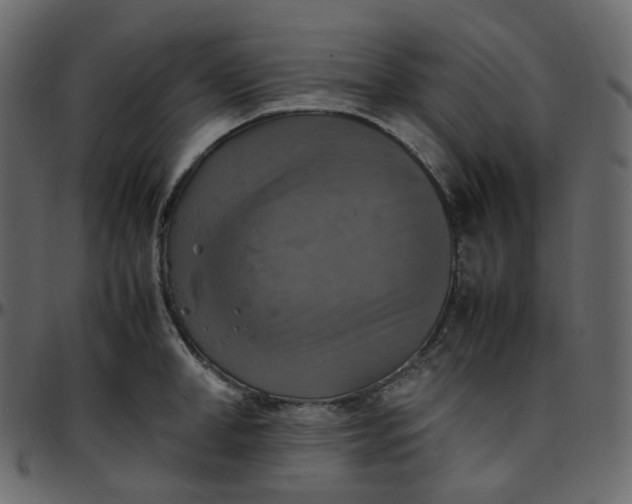 X0000095690998200801221243