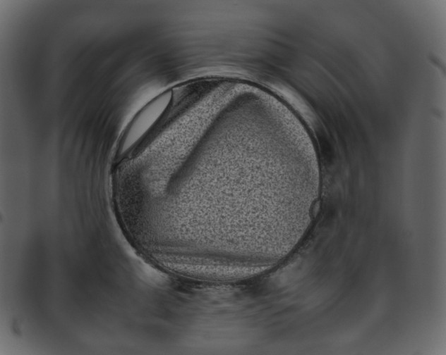 X0000095690999200801221243