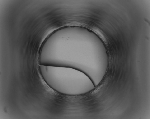 X0000095691000200801221243