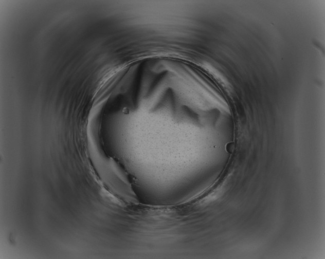 X0000095691001200801221243