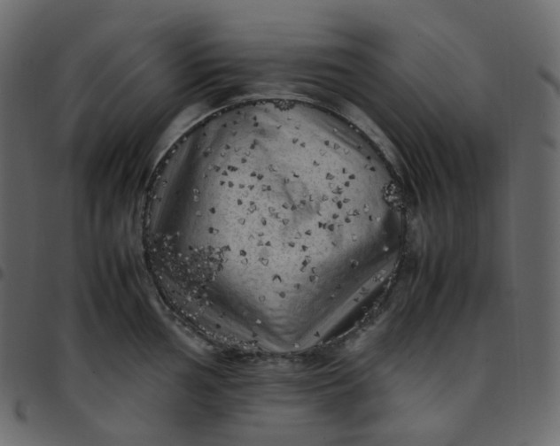 X0000095691002200801221243