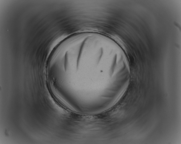 X0000095691003200801221243