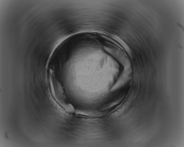 X0000095691004200801221243