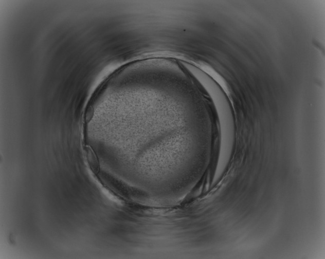 X0000095691005200801221243