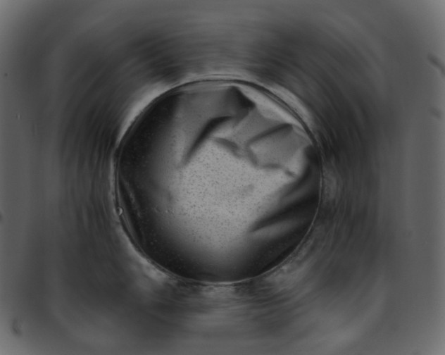 X0000095691006200801221243